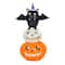 22'' Pre-Lit Bat Standing on Pumpkins Halloween Décor